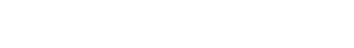 Example Image