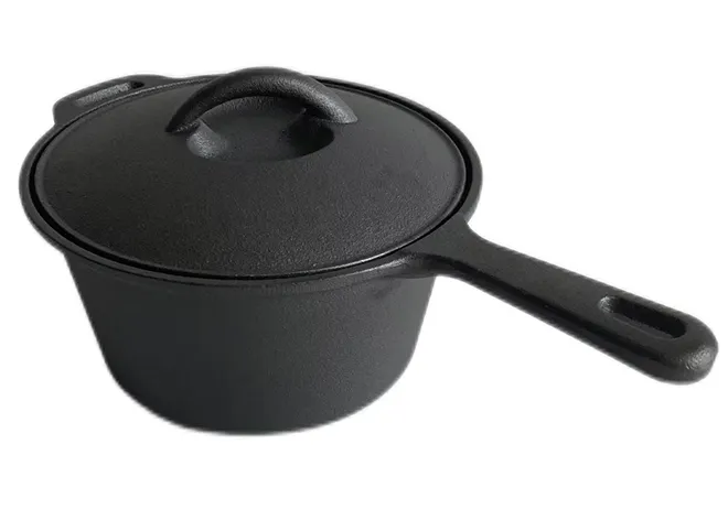 coating a cast iron skillet